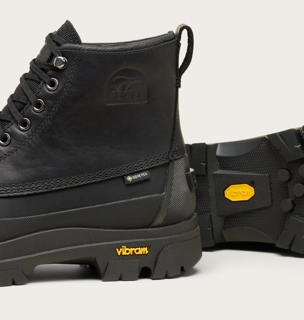 Daystorm Horizon™ GTX Men's Boot - Black, Black