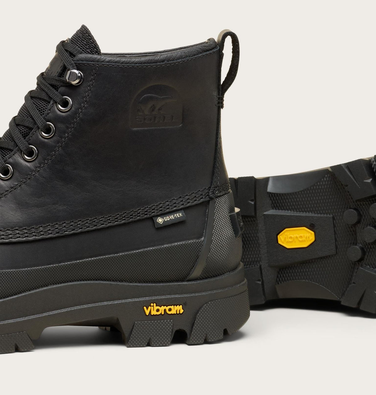 Daystorm Horizon™ GTX Men's Boot - Black, Black