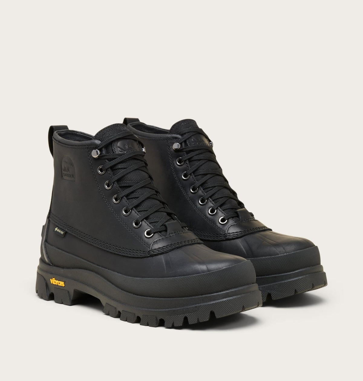 Daystorm Horizon™ GTX Men's Boot - Black, Black
